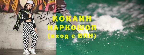 твердый Сосновый Бор