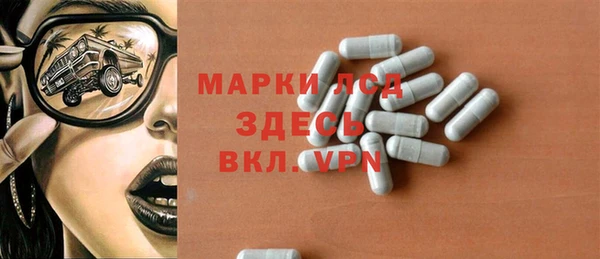 индика Аркадак