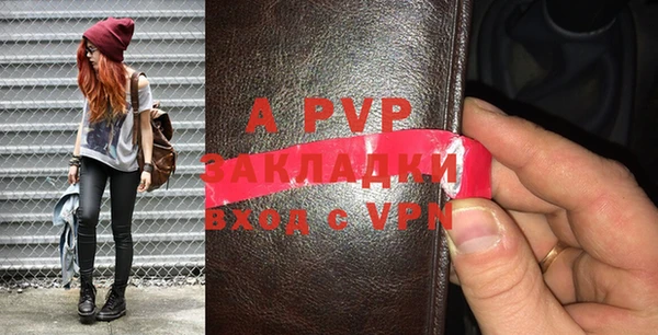 индика Аркадак