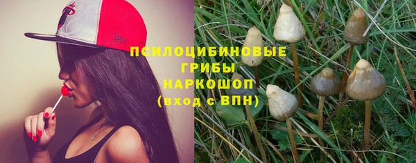 mix Арсеньев