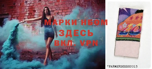 индика Аркадак