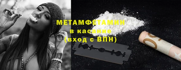 индика Аркадак