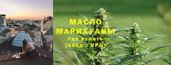 индика Аркадак